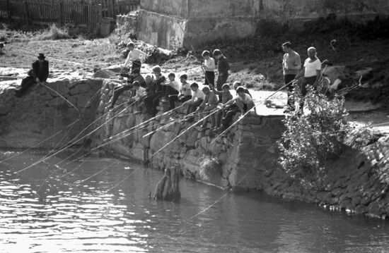 Toiler of Sea Fishing Cooperative