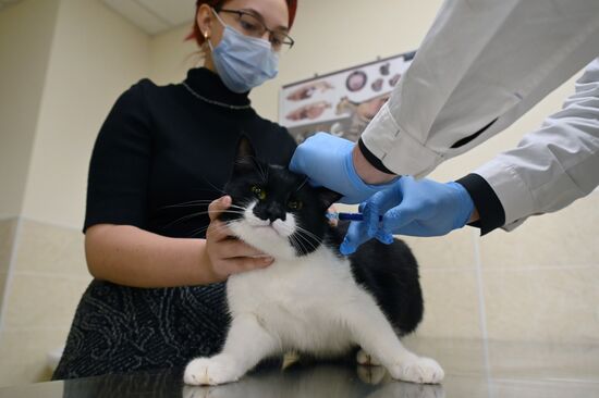 Russia Coronavirus Animals Vaccination