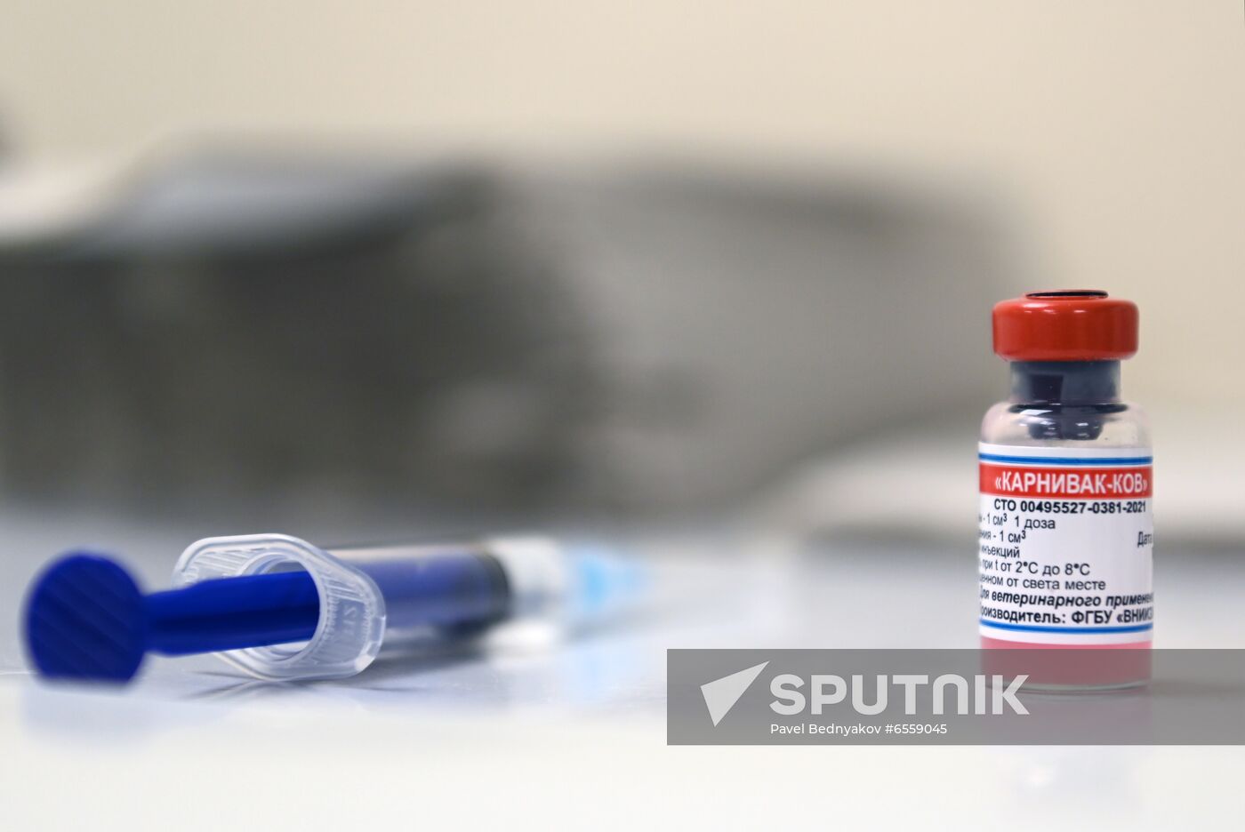 Russia Coronavirus Animals Vaccination