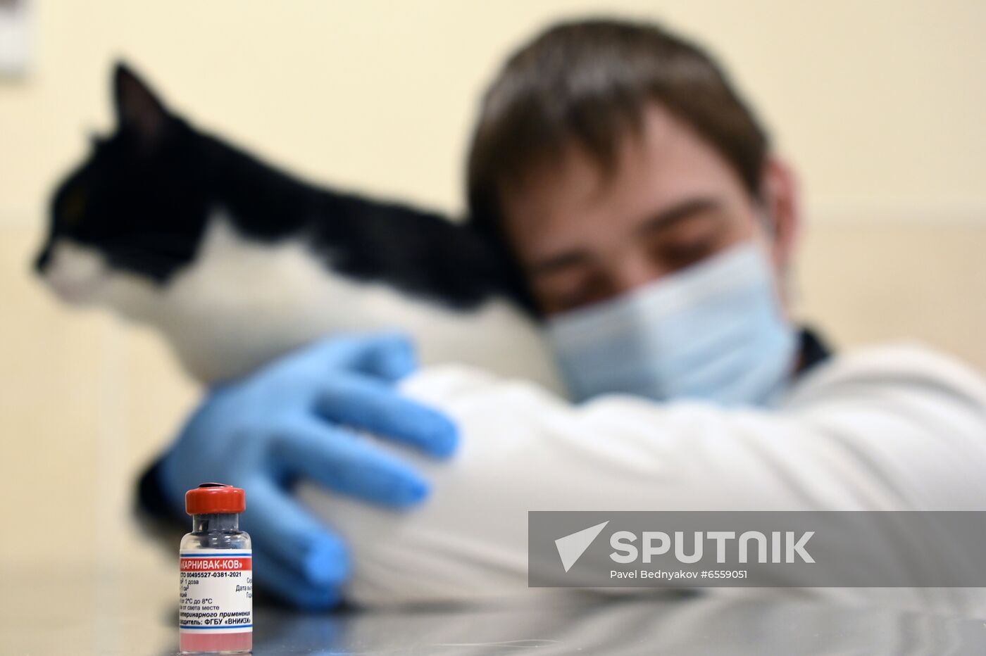Russia Coronavirus Animals Vaccination