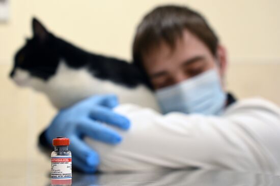 Russia Coronavirus Animals Vaccination