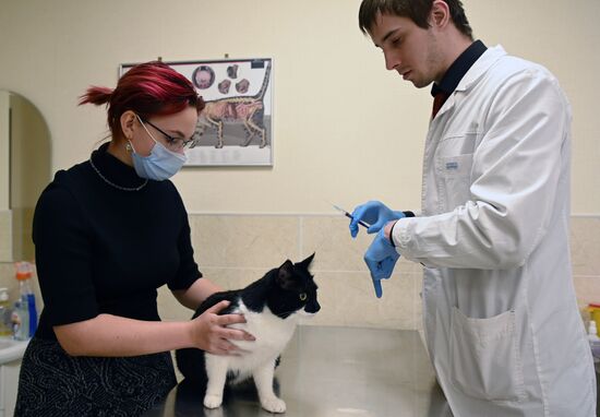 Russia Coronavirus Animals Vaccination