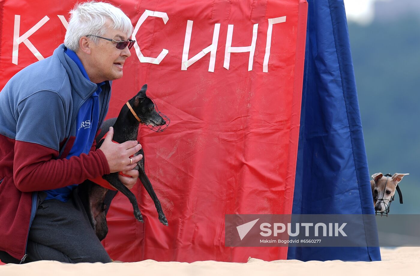 Russia Lure Coursing