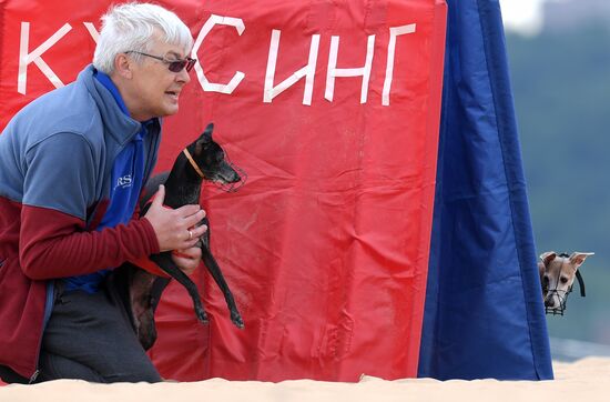 Russia Lure Coursing