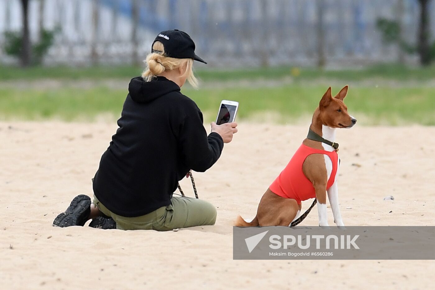 Russia Lure Coursing