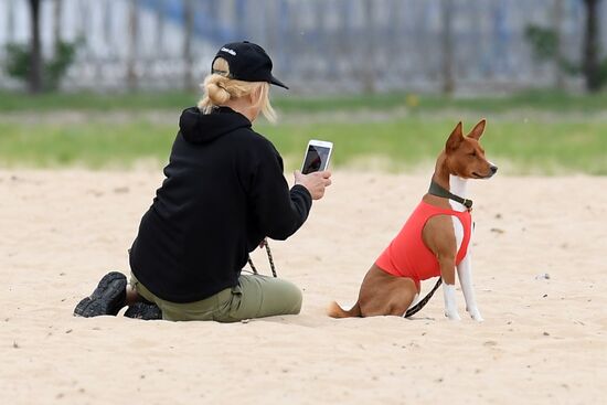 Russia Lure Coursing