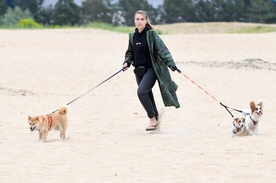 Russia Lure Coursing
