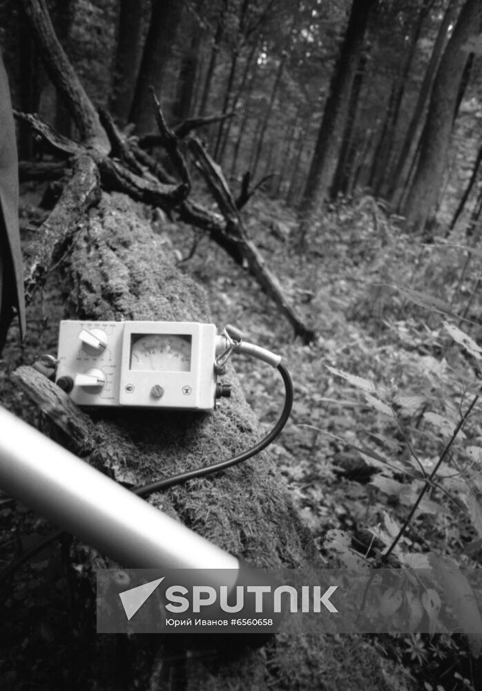 Bialowieza Forest