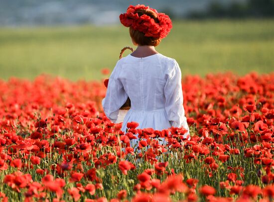 Russia Poppies