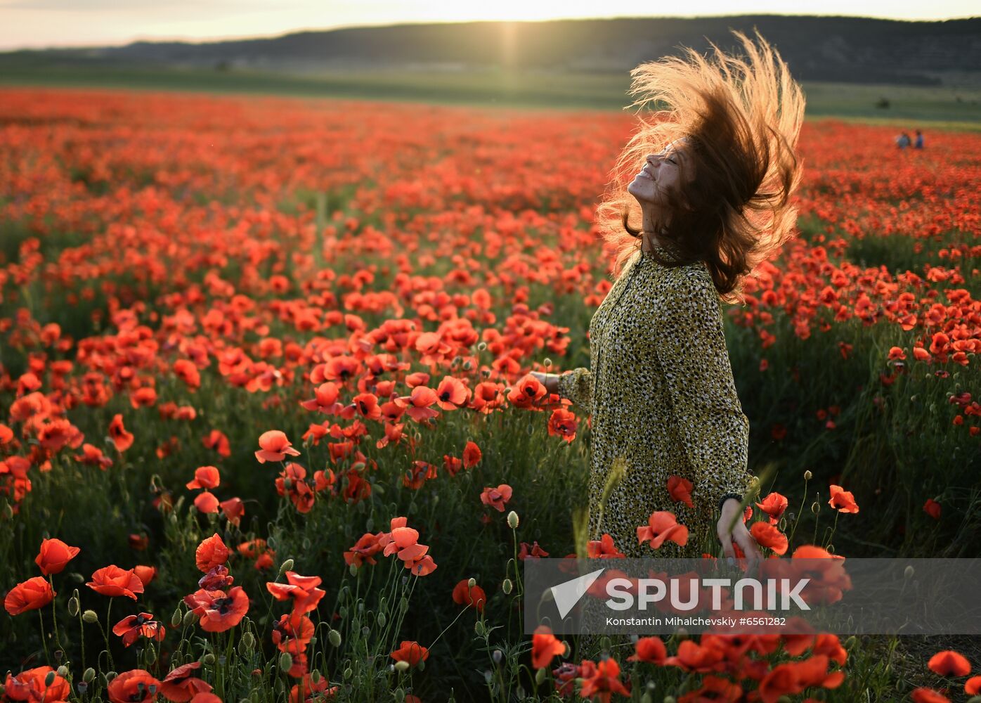 Russia Poppies