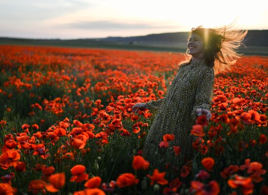 Russia Poppies