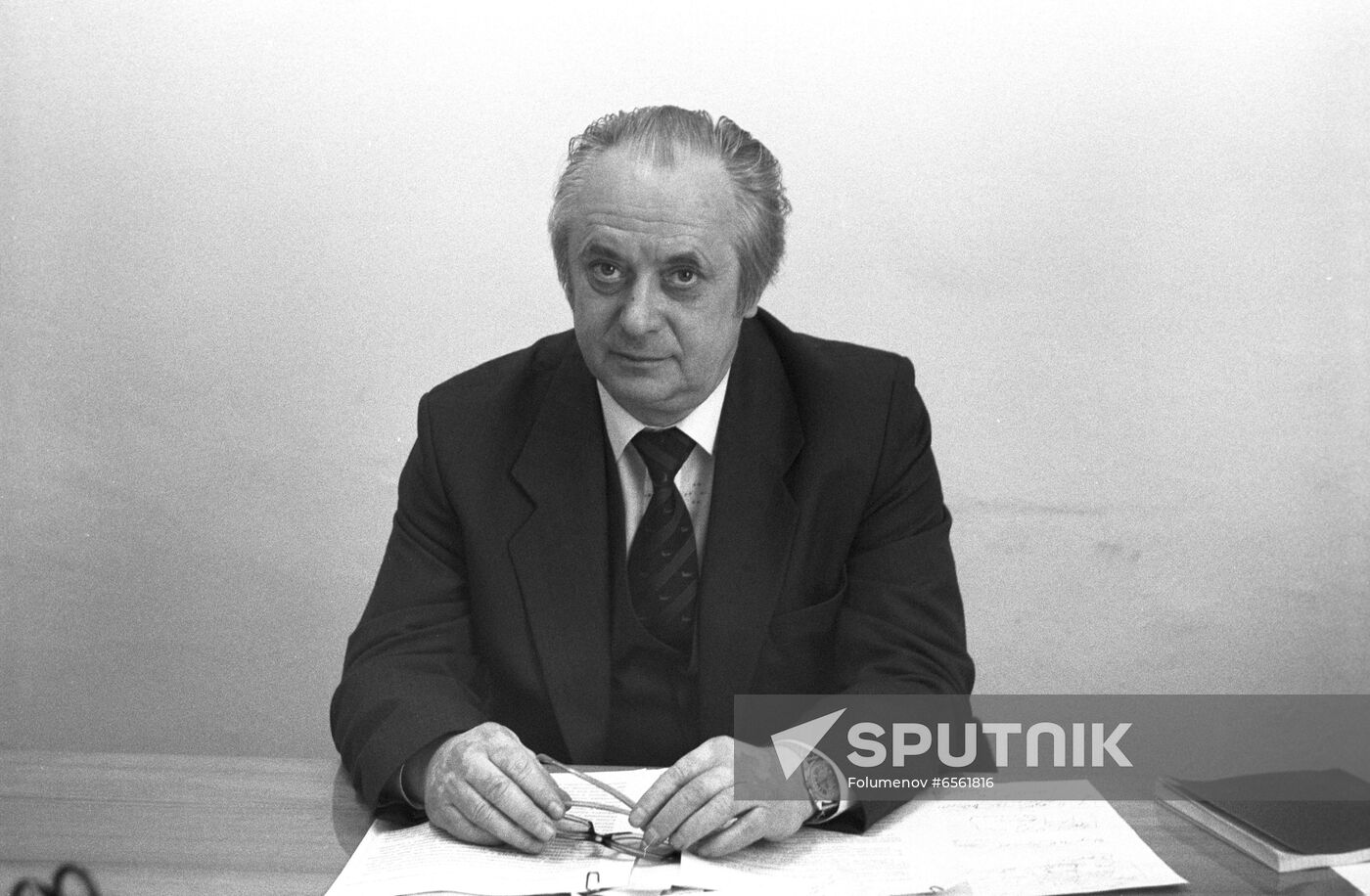 Deputy Director of USSR Academy of Sciences' European Studies Institute Vladimir Shenayev