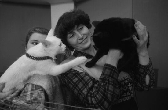 First national cat exhibition