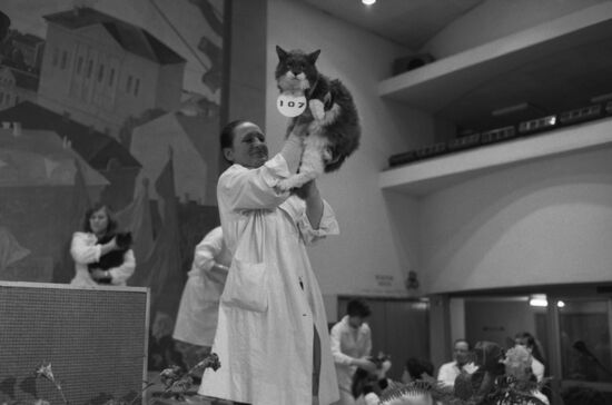 First national cat exhibition