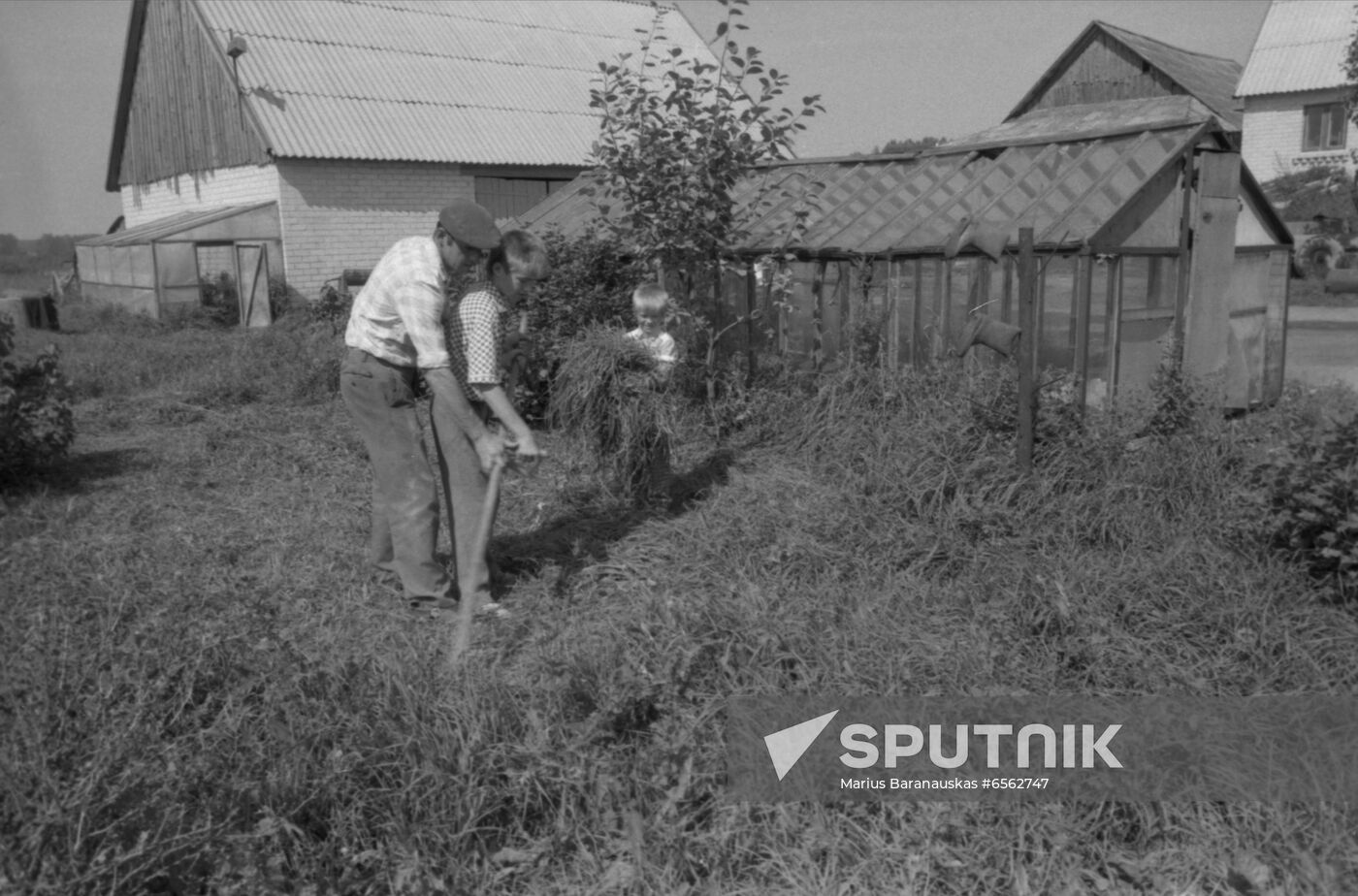 Farmer movement in the USSR