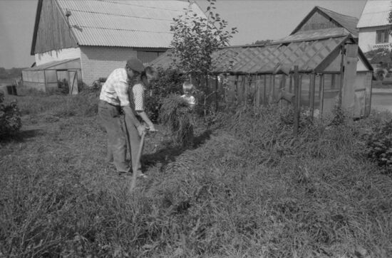 Farmer movement in the USSR