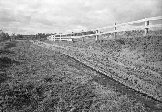 Nikolai Sivkov's farm