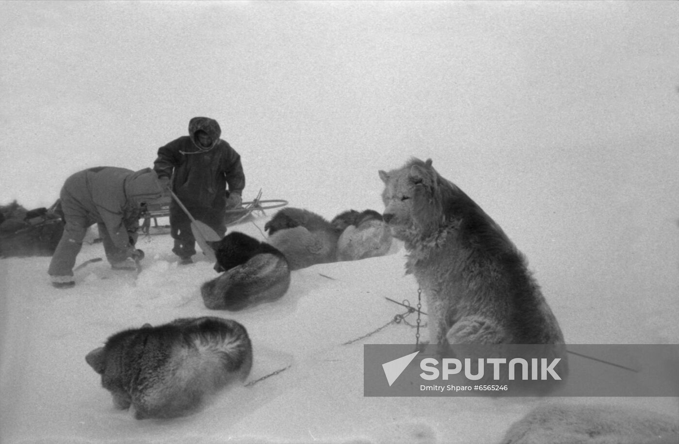 Bering Bridge Soviet-American polar expedition