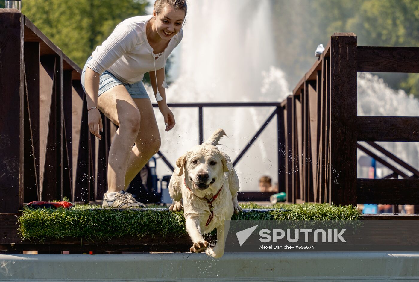 Russia Petshop Days Festival