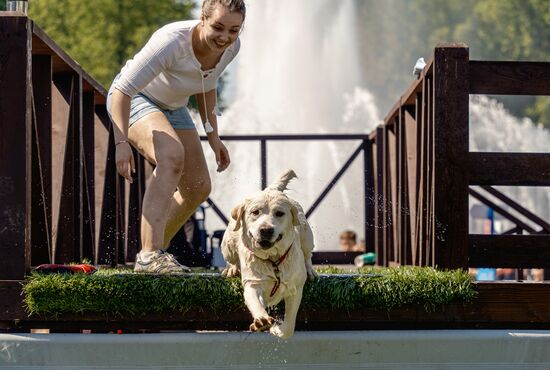 Russia Petshop Days Festival
