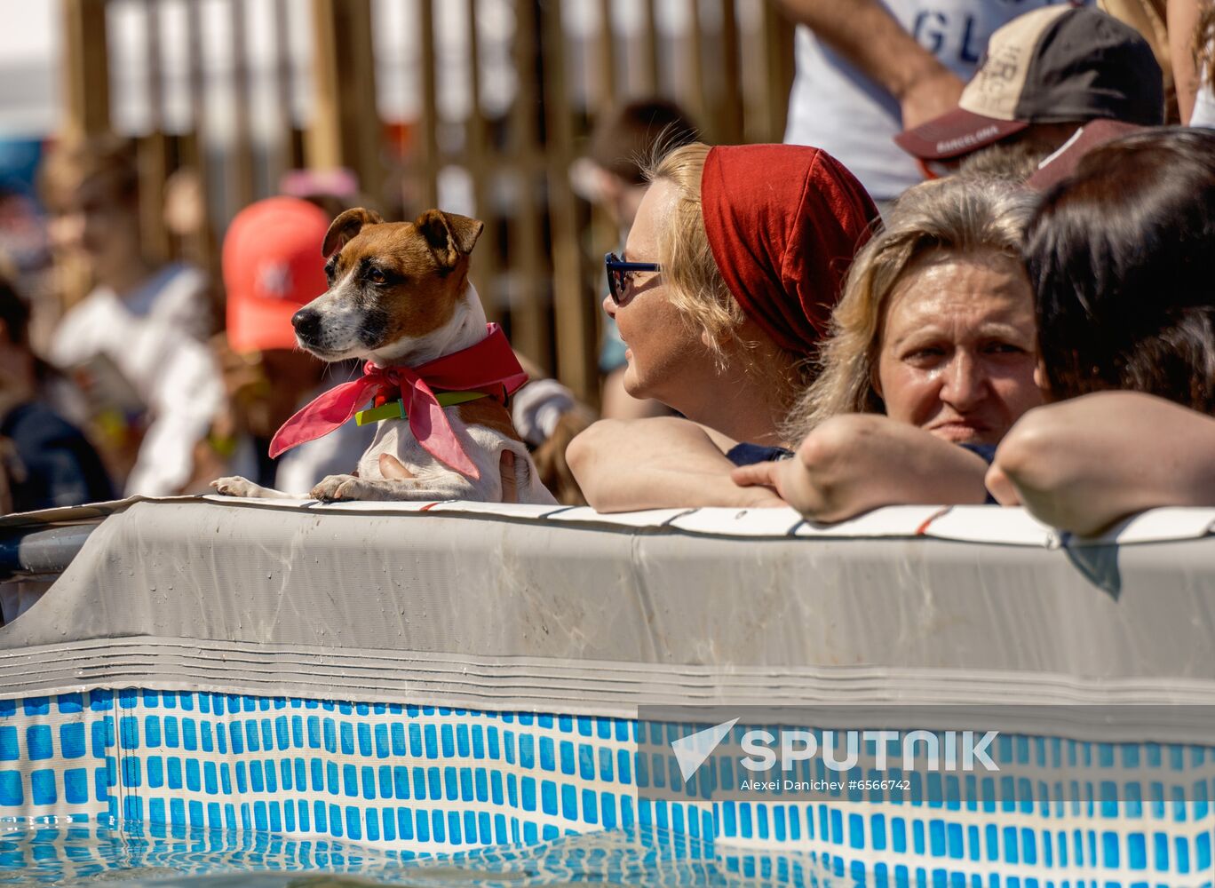 Russia Petshop Days Festival