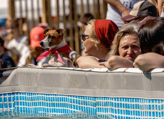 Russia Petshop Days Festival