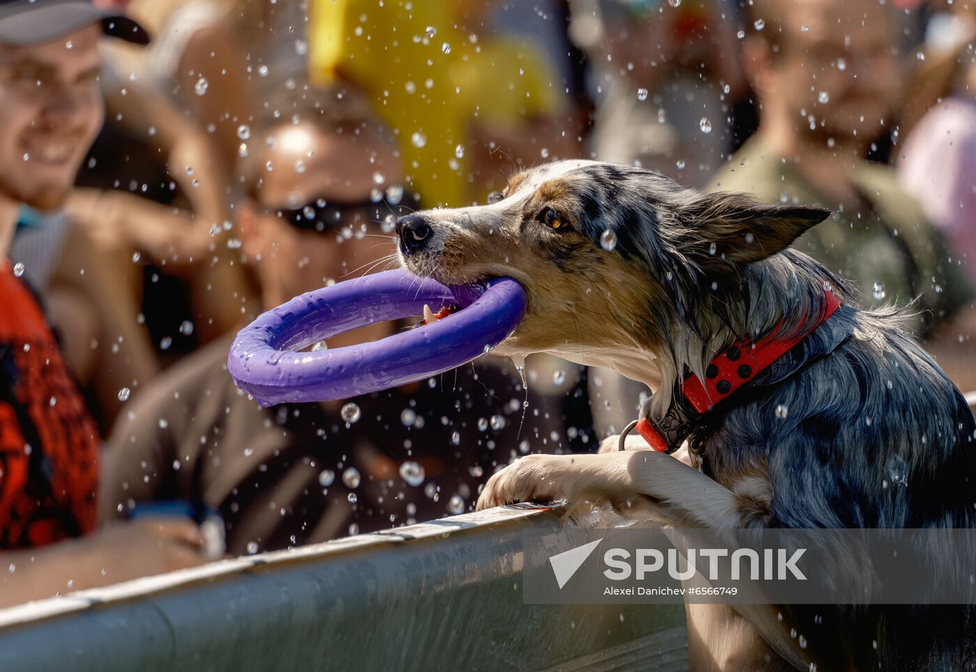 Russia Petshop Days Festival