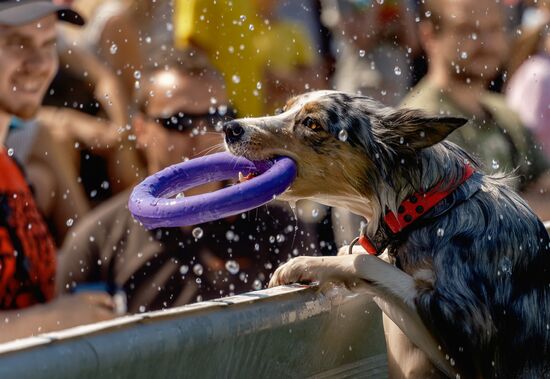 Russia Petshop Days Festival