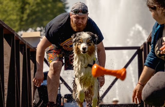 Russia Petshop Days Festival