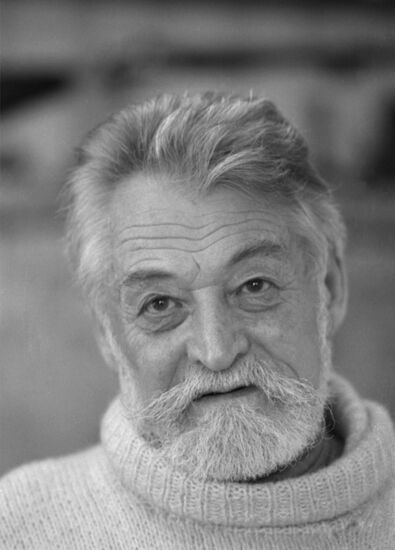Viktor Girshenfeld, Representative of Public Diplomacy Group at Moscow Popular Front