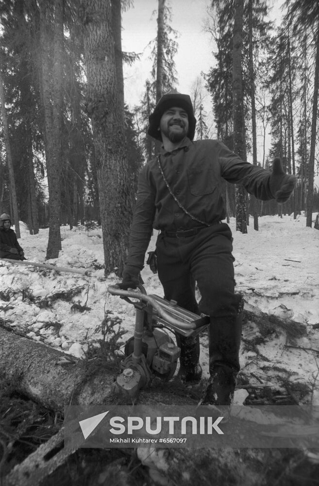 Blagoyevo logging company