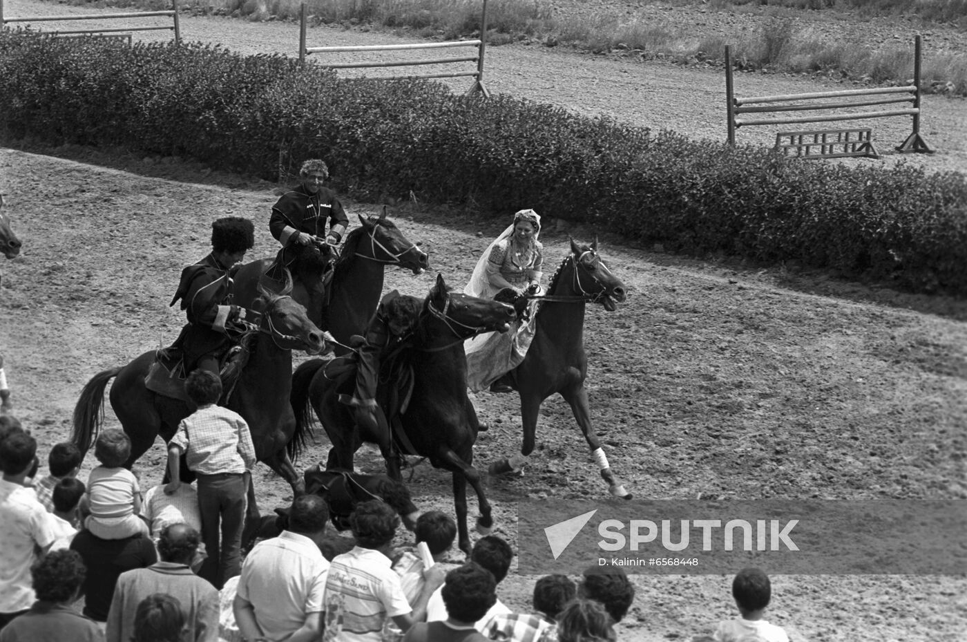 Red  horses of Karabakh