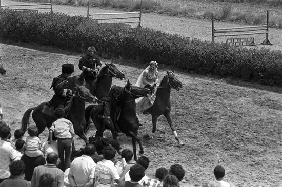Red  horses of Karabakh