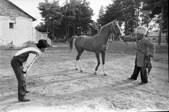 Red  horses of Karabakh