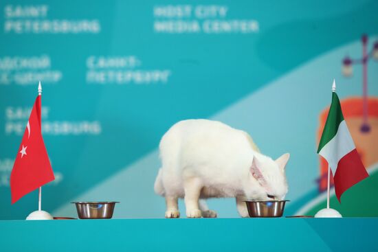 Official opening of Host City Media Center in St. Petersburg