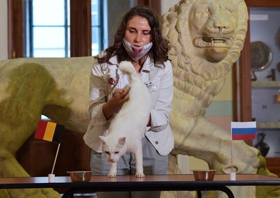 Achilles the Cat predicts Russia's defeat by Belgium in UEFA EURO 2020 game