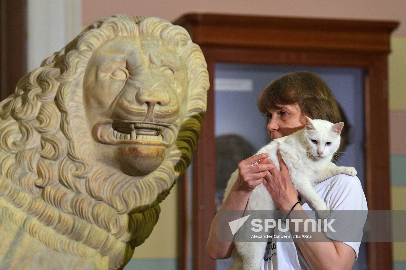 Achilles the Cat predicts Russia's defeat by Belgium in UEFA EURO 2020 game