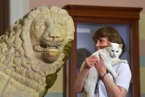 Achilles the Cat predicts Russia's defeat by Belgium in UEFA EURO 2020 game