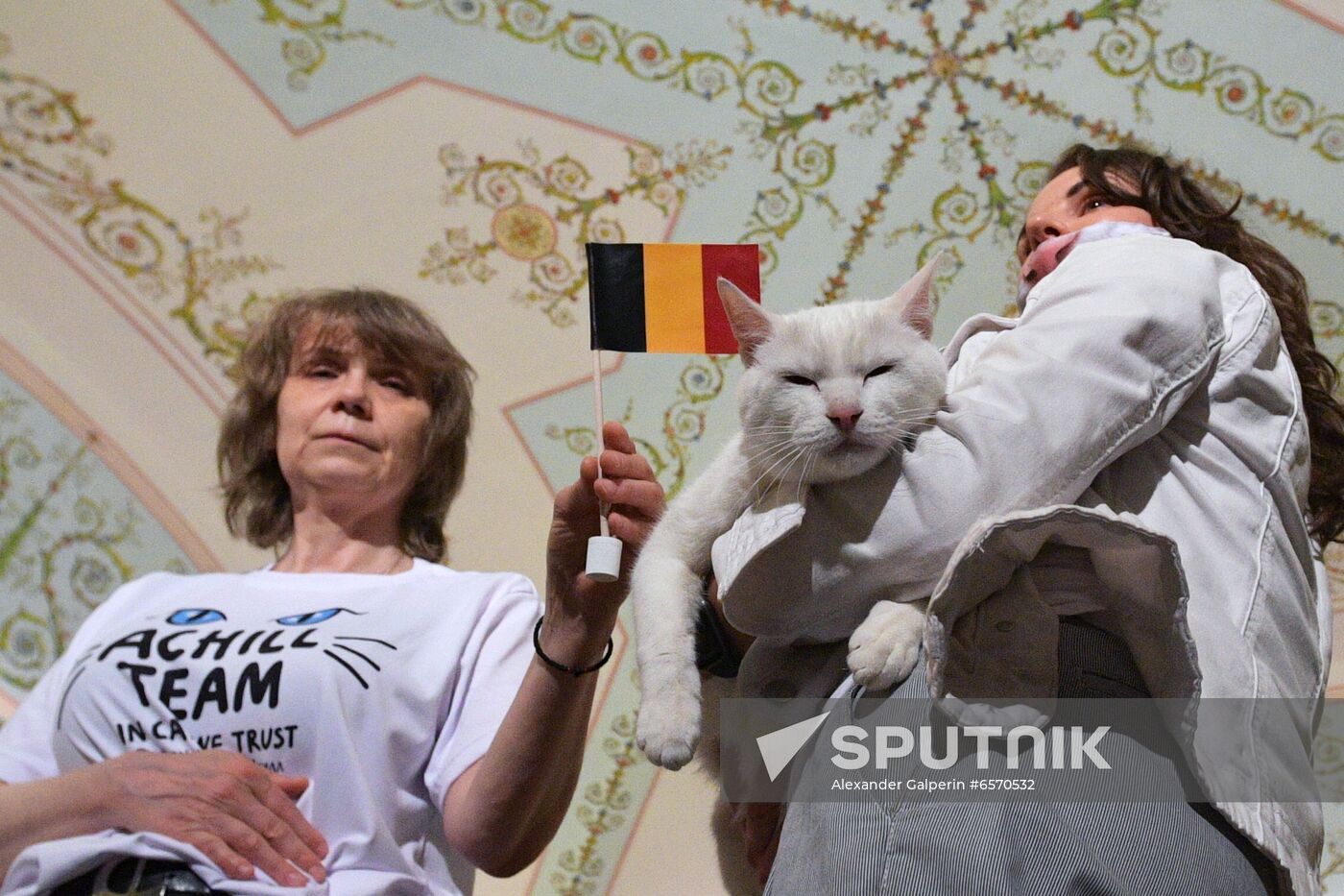 Achilles the Cat predicts Russia's defeat by Belgium in UEFA EURO 2020 game