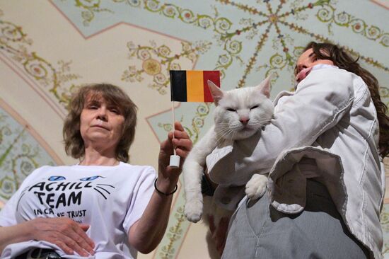 Achilles the Cat predicts Russia's defeat by Belgium in UEFA EURO 2020 game