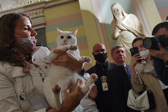 Achilles the Cat predicts Russia's defeat by Belgium in UEFA EURO 2020 game