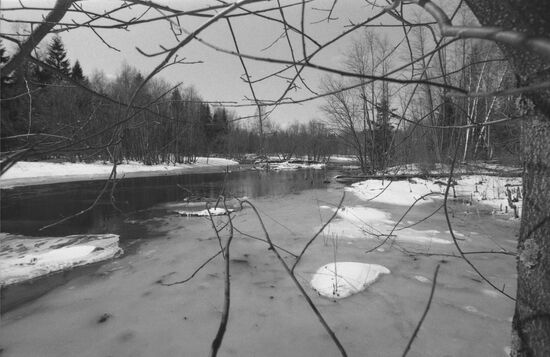 Central Forest State Natural Biosphere Reserve
