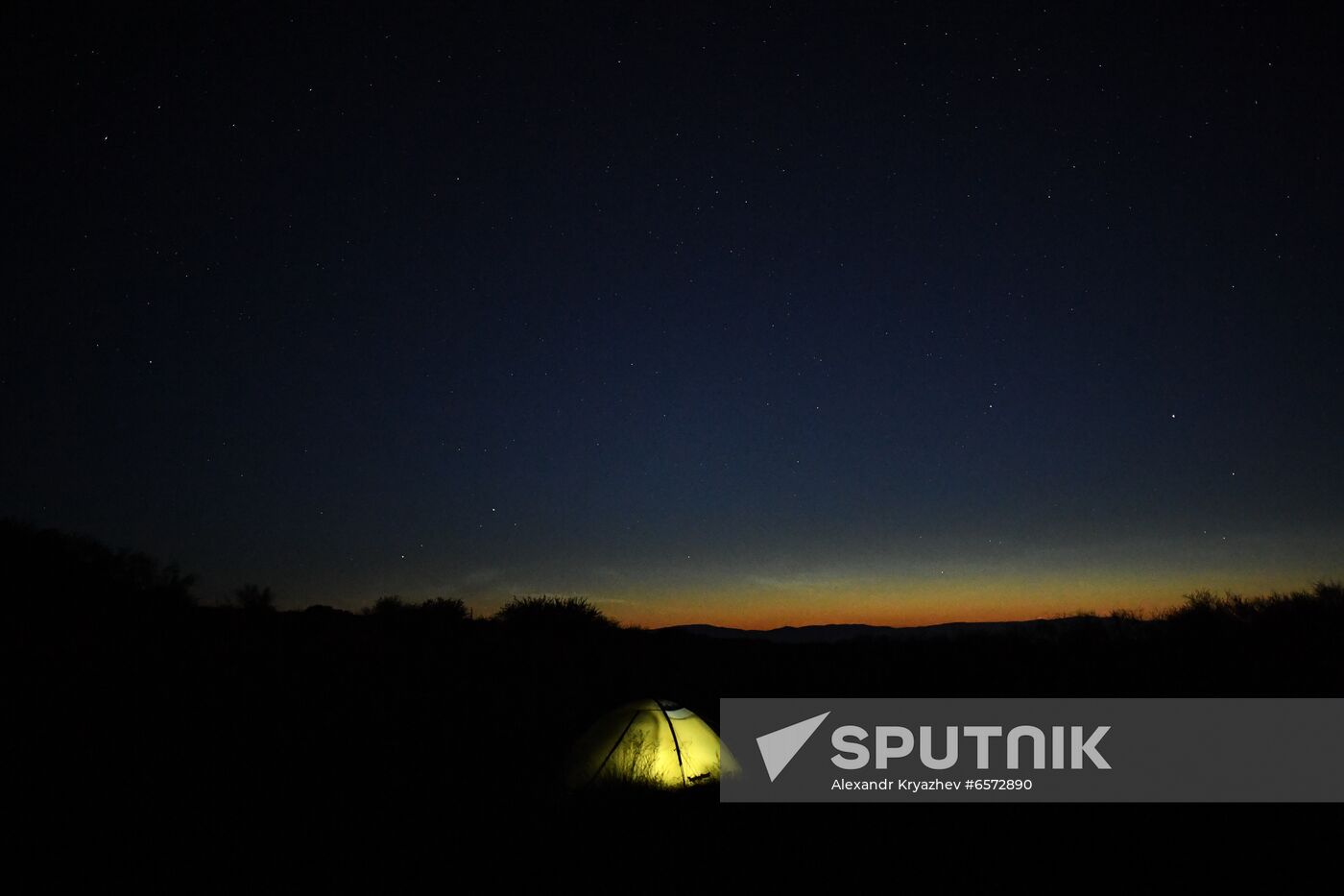 Russia Saker Falcon Population Rebirth