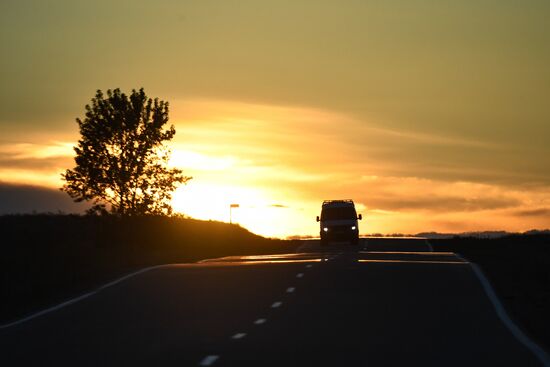 Russia Saker Falcon Population Rebirth