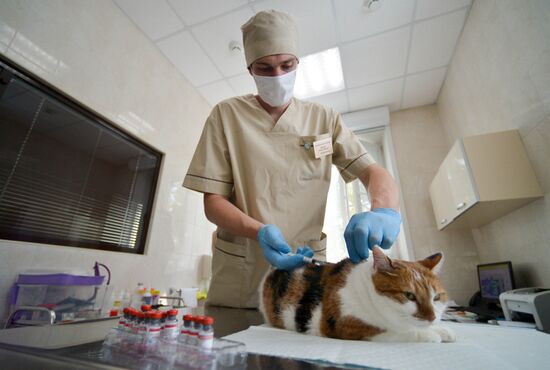 Russia Coronavirus Animals Vaccination
