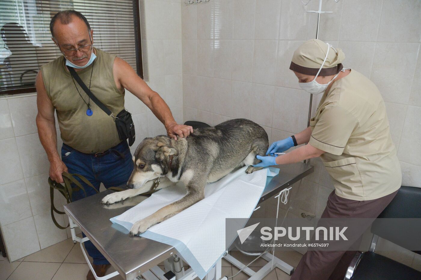 Russia Coronavirus Animals Vaccination