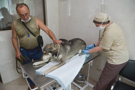 Russia Coronavirus Animals Vaccination