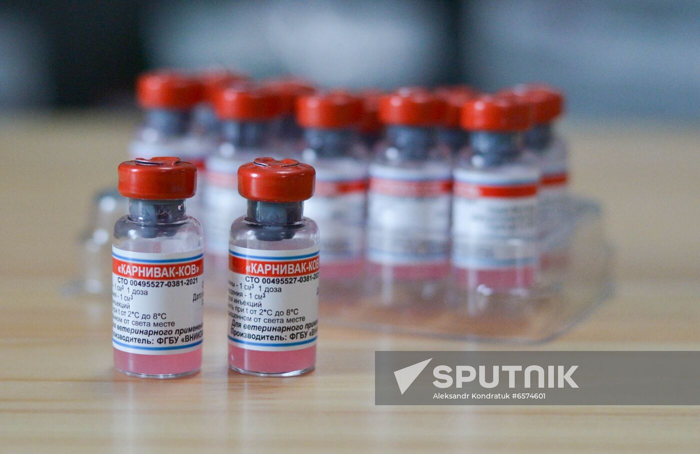 Russia Coronavirus Animals Vaccination