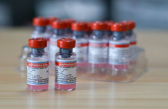 Russia Coronavirus Animals Vaccination