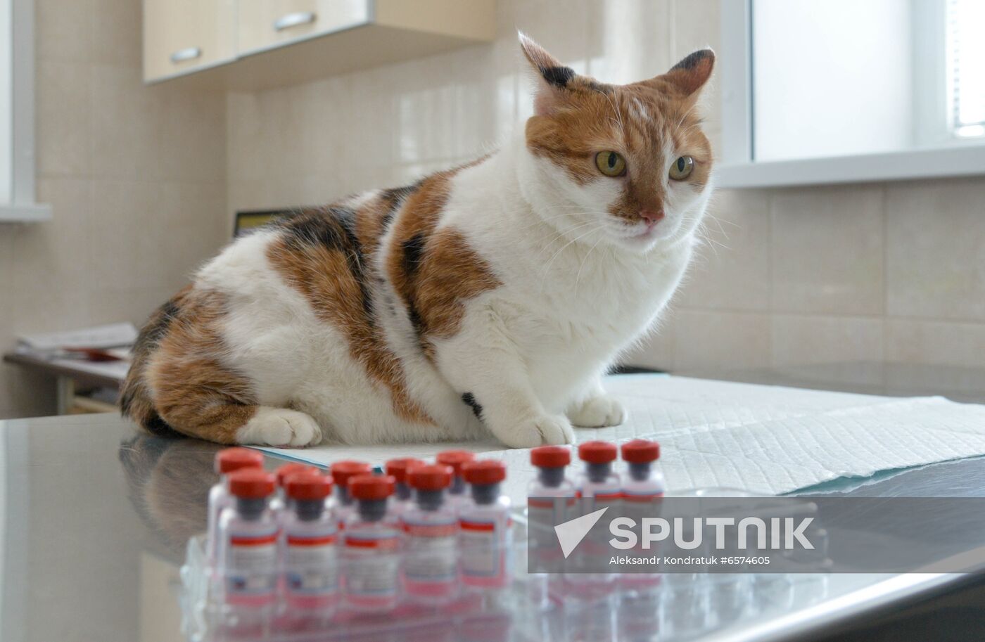 Russia Coronavirus Animals Vaccination